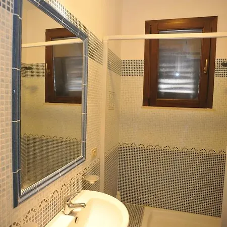Metrosideros San Vito Lo Capo