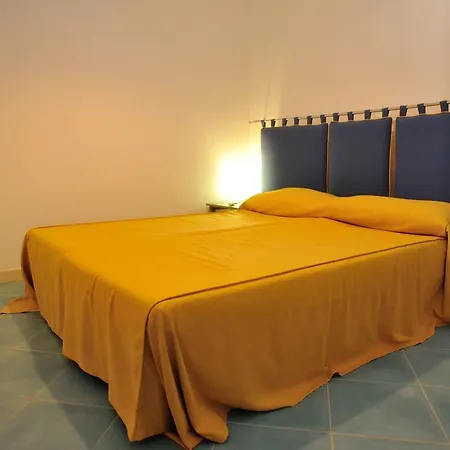 Metrosideros San Vito Lo Capo